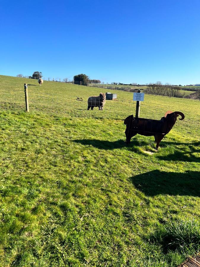 King Richard'S Luxury Lodge - Sleeps Up To 8 ,Dog Friendly ,Near Sherwood Forest At Fairview Farm In Nottingham Set In 88 Acres And Great For Groups,Family Gatherings,Corporate Events Εξωτερικό φωτογραφία